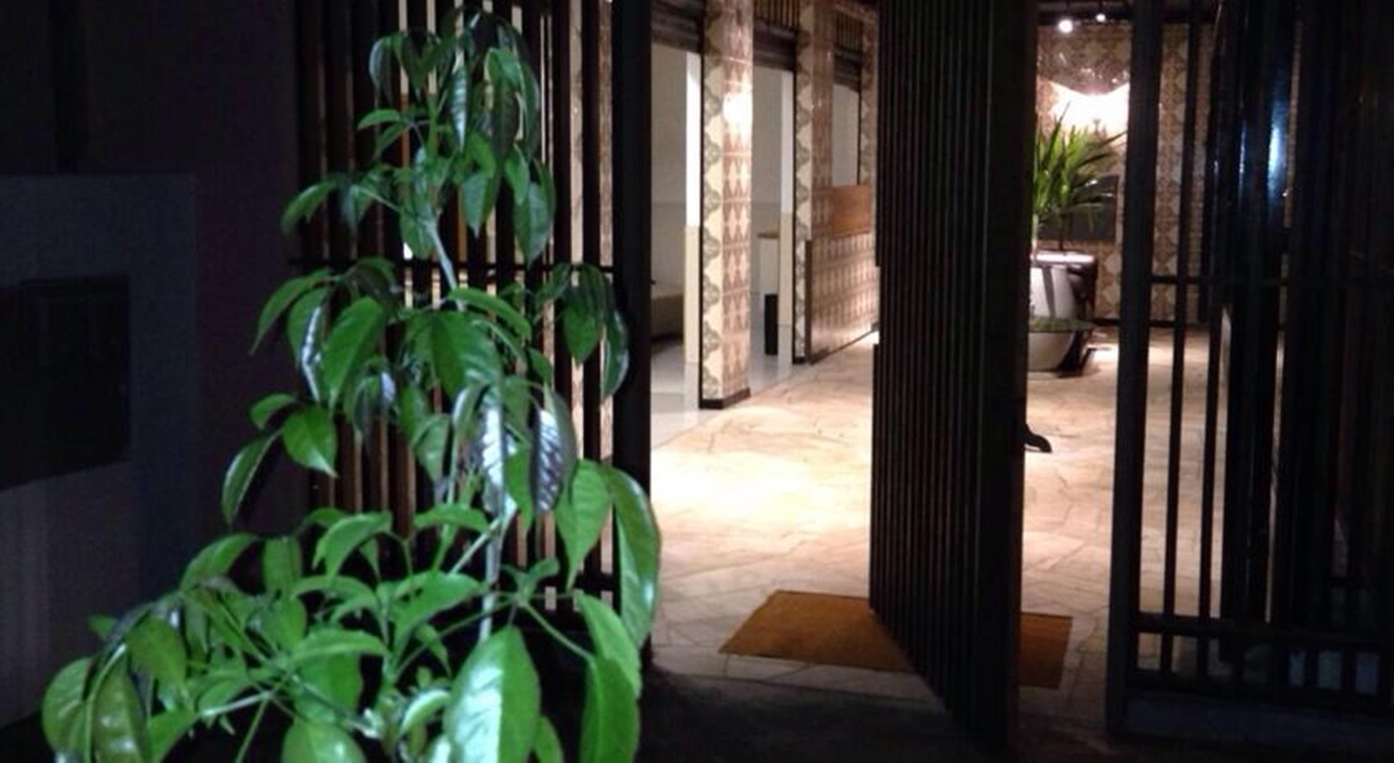 Vespasiano Hotel Telemaco Borba Экстерьер фото